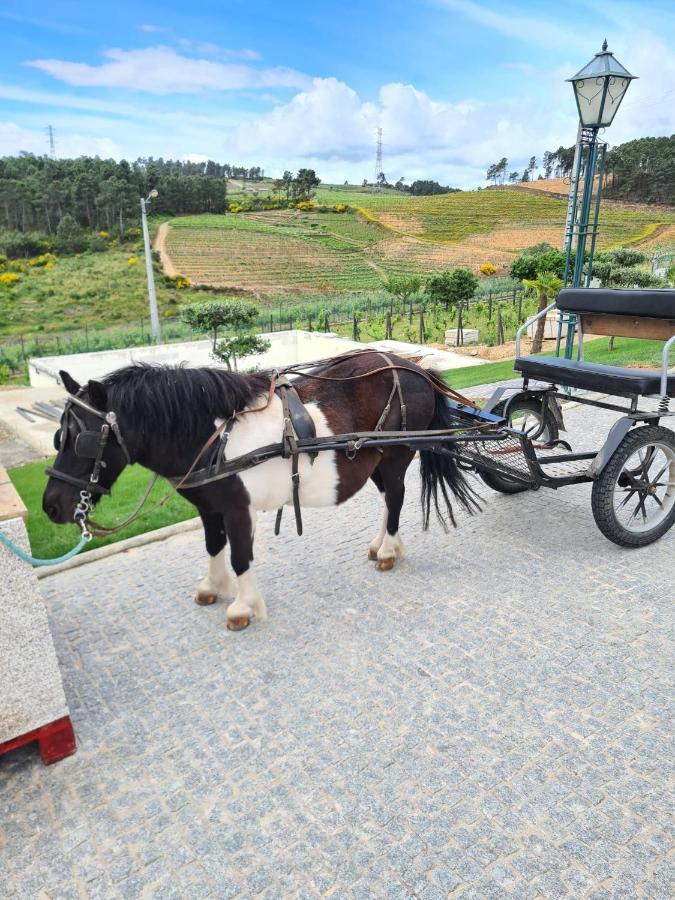 Quinta Da Laceira - Douro Valley - Alojamento Local Vila Real Buitenkant foto