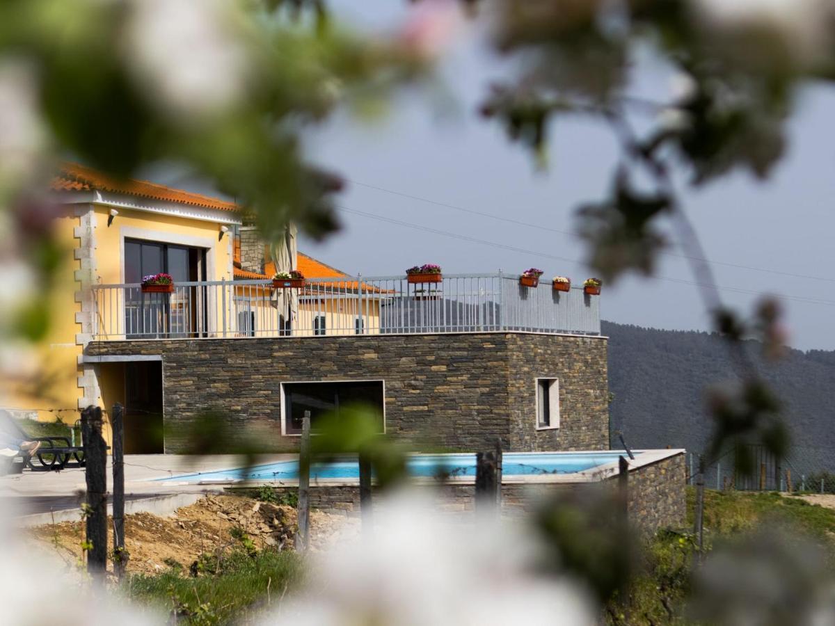 Quinta Da Laceira - Douro Valley - Alojamento Local Vila Real Buitenkant foto
